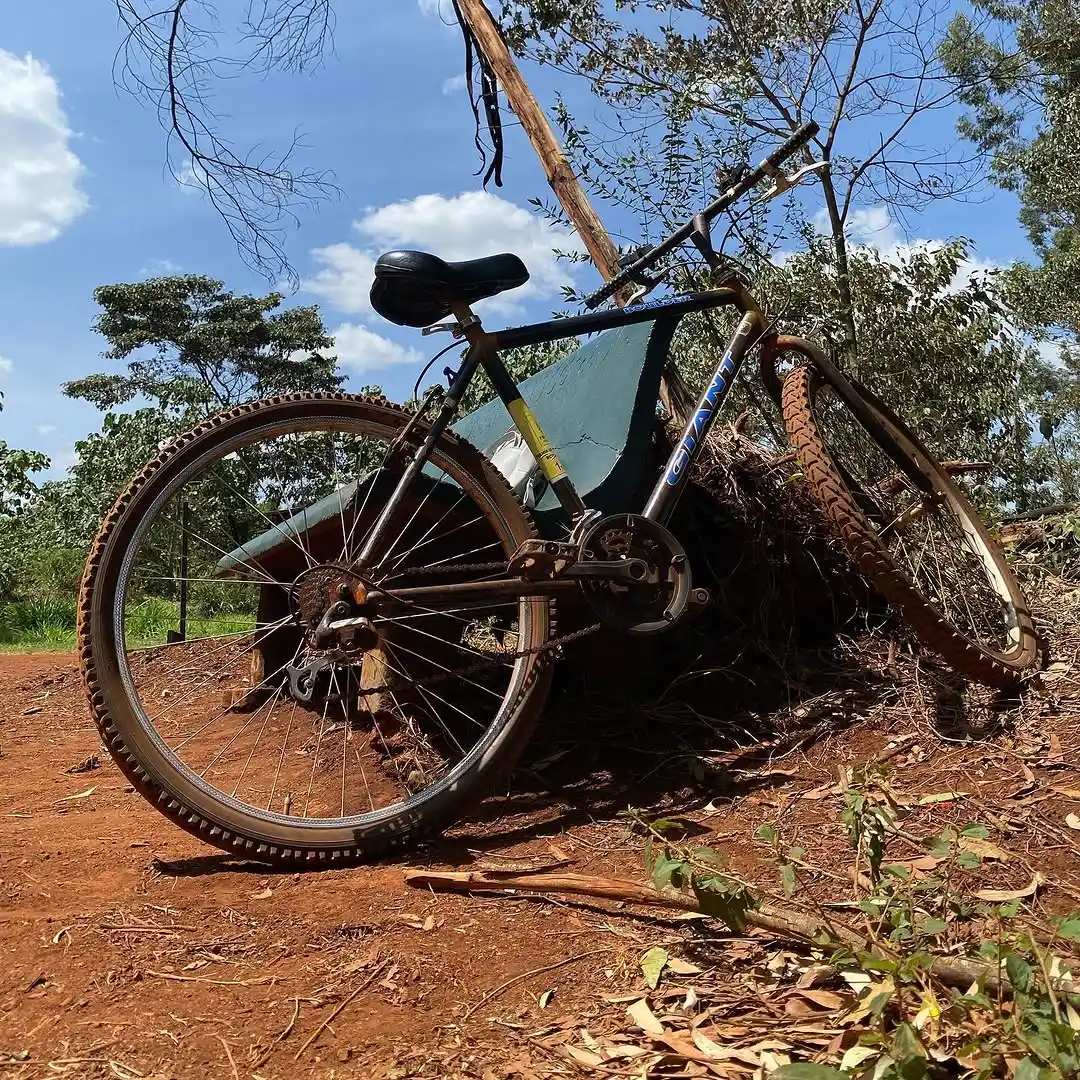 4-Hour Bike Hire at Karura Forest in Karura Forest