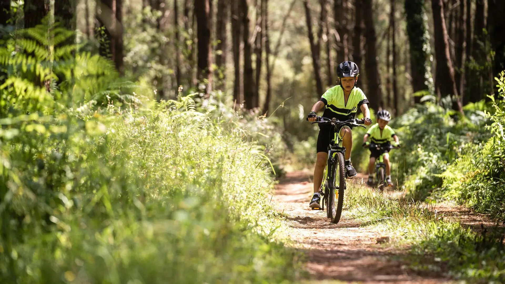 Child-sized mountain bike suitable for cycling on forest trails