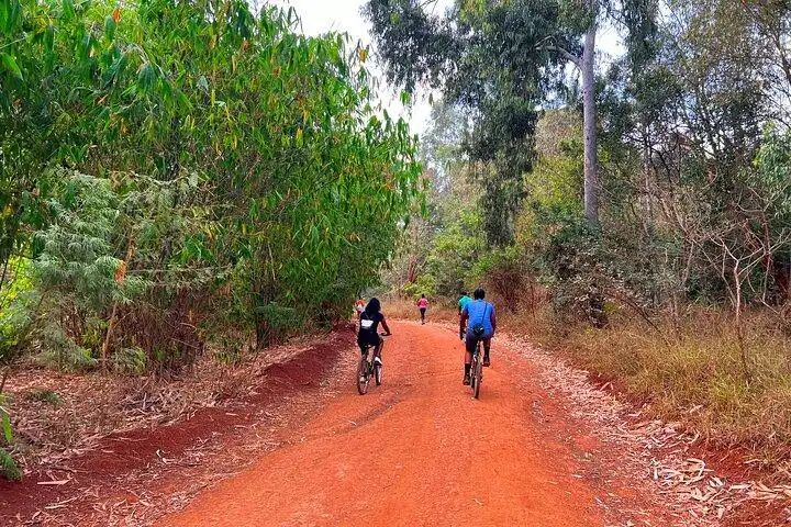 Designated cycling trail through Karura Forest Nairobi